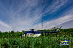 AVH_03_Elicopter in iarba