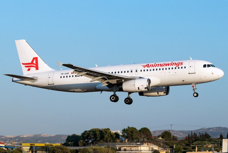 ,,O primăvară cu zâmbete” de la Animawings