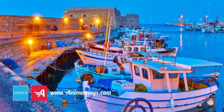 Animawings: ,,Unde și cum au preferat românii să călătorească în sezonul estival 2023”