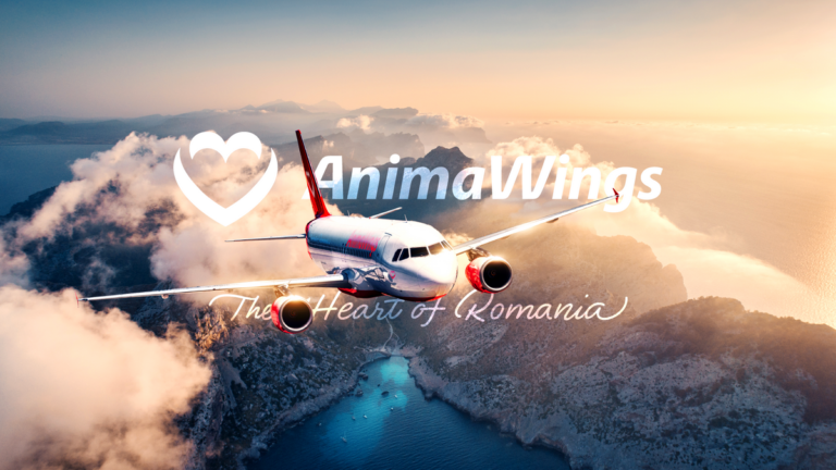 Christian Tour și AnimaWings lansează un nou produs exclusiv